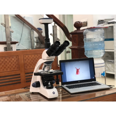 Kinh hien vi 3 mat Euromex BB.1153-PLi kem camera DC.5000F (hình 3).jpg